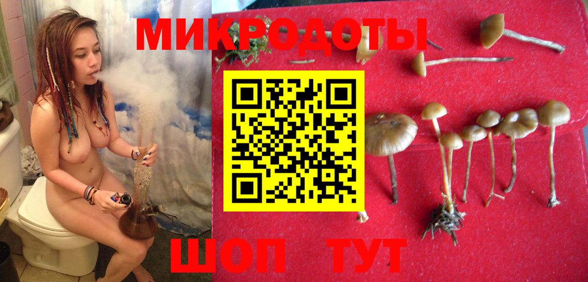 Галлюциногенные грибы GOLDEN TEACHER Одинцово