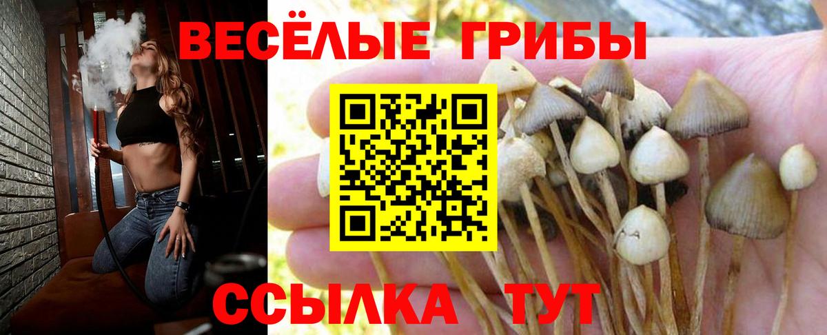 Галлюциногенные грибы Cubensis  Вход с VPN  Одинцово  Псилоцибиновые грибы ЛСД 